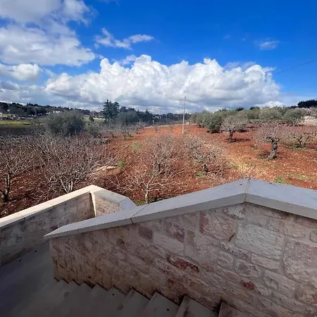 بيت ضيافة Trulli In Vigna سيلفا دو فاسانو